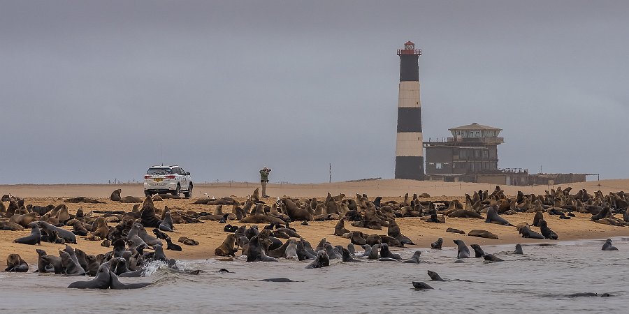 139 Walvisbaai, Namibie.jpg